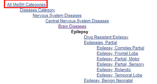 Screenshot of the MeSH term tree for "epilepsy" with "All MeSH Categories" at the top boxed in red.