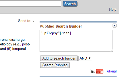 Screenshot of the PubMed Search Builder with the MeSH term "epilepsy" added and the "Add to search builder" button boxed in red.